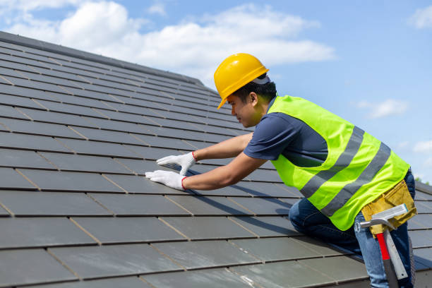 Best Roof Waterproofing Services  in Laupahoehoe, HI