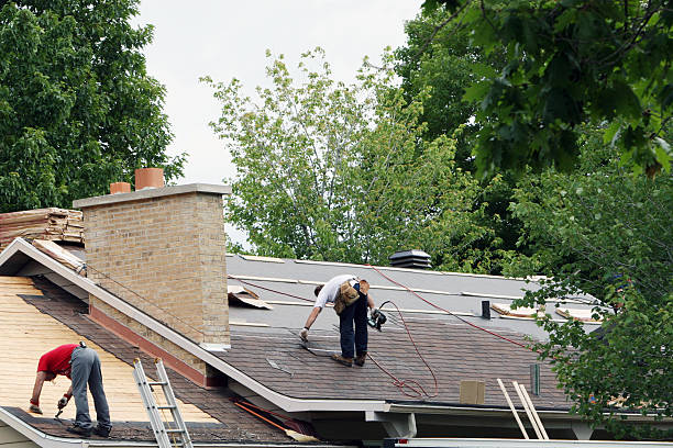 Trusted Laupahoehoe, HI Roofing Contractor Experts