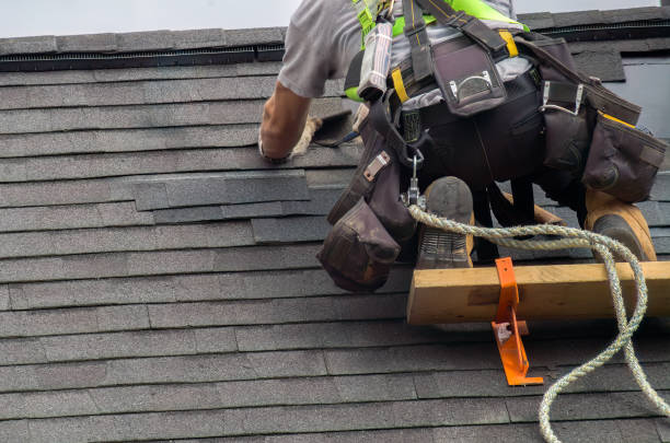 Best Storm Damage Roof Repair  in Laupahoehoe, HI