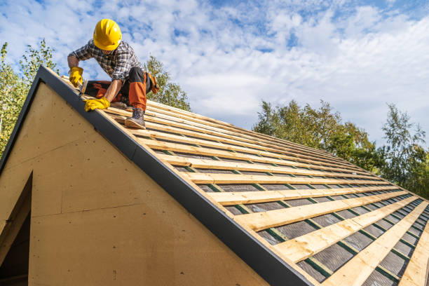 Best Commercial Roofing Services  in Laupahoehoe, HI