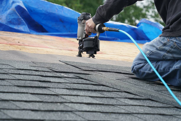 Best Residential Roofing Contractor  in Laupahoehoe, HI