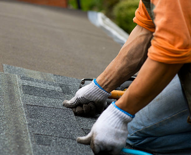 Best Commercial Roofing Services  in Laupahoehoe, HI