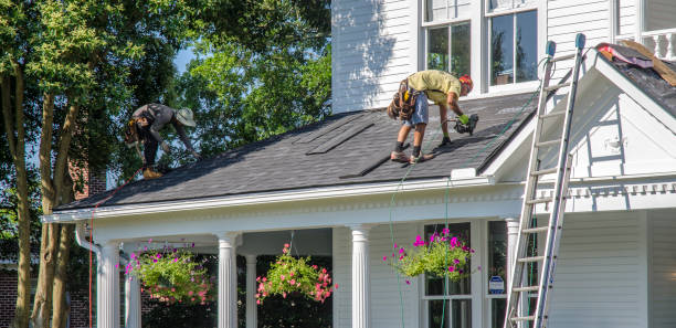 Best New Roof Installation  in Laupahoehoe, HI