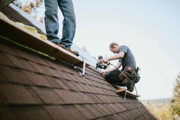Best Shingle Roofing Installation  in Laupahoehoe, HI