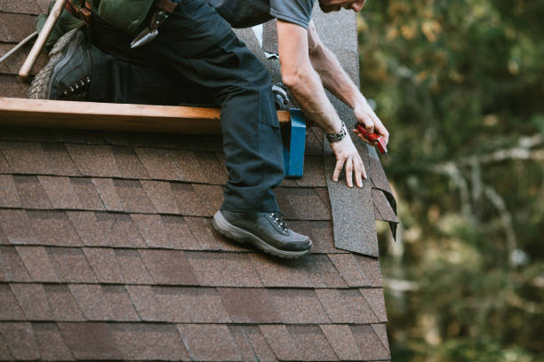 Best Metal Roofing Contractor  in Laupahoehoe, HI